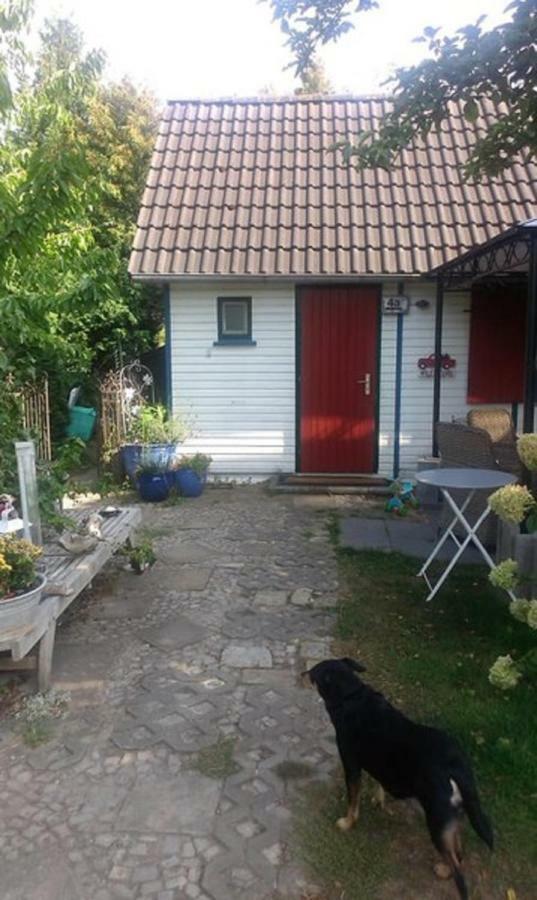 Das Kleine Ferienhaus 柏林 外观 照片